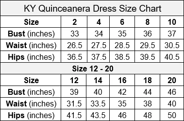 Beaded Long Sleeve Quinceanera Dress by Calla KY71289X
