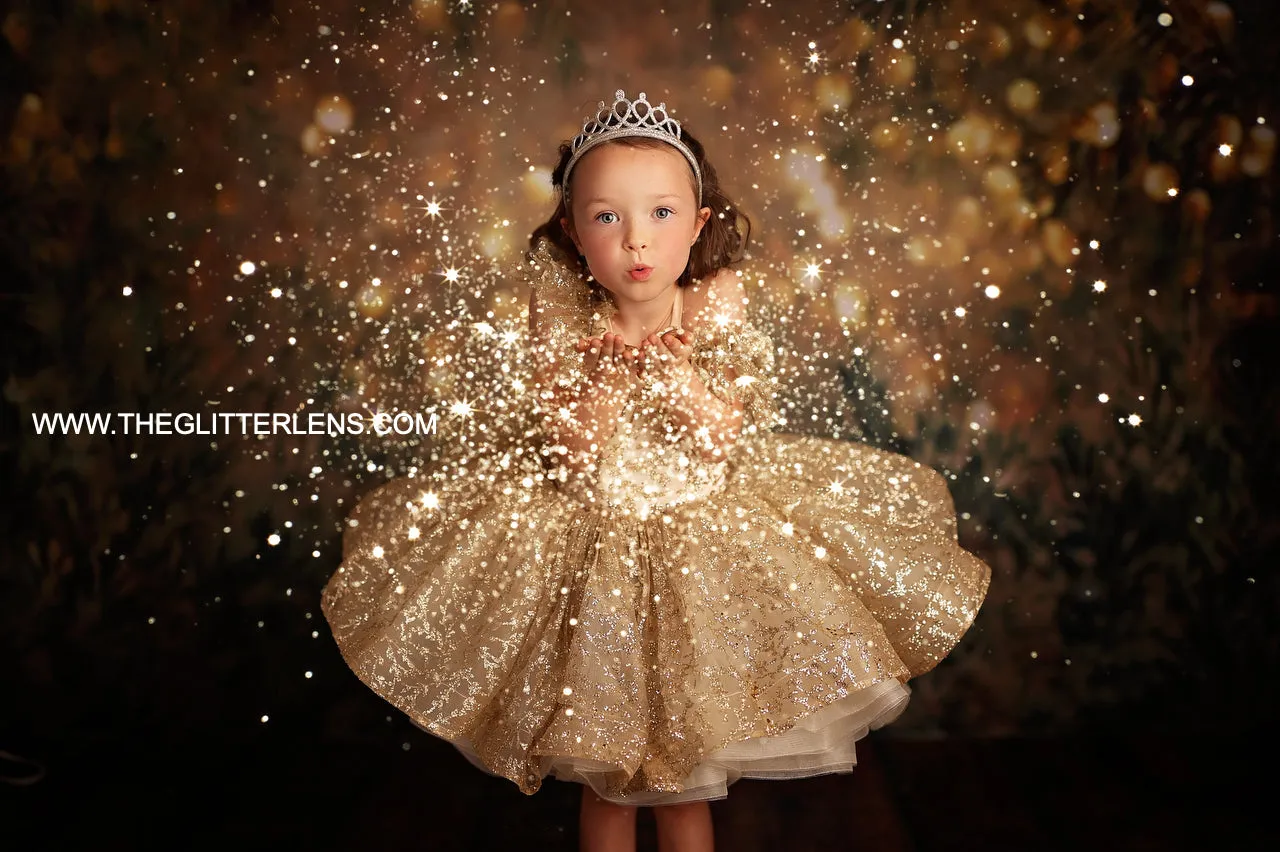 GLITTER- Petal Length Dress  Editorial Dress, Couture Gown, Special Occasion Dress